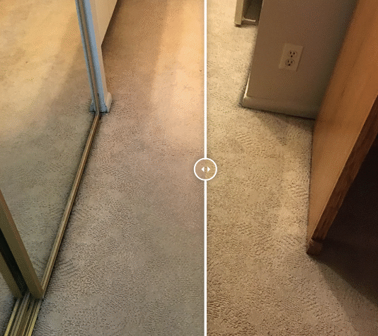 Professional carpet cleaning